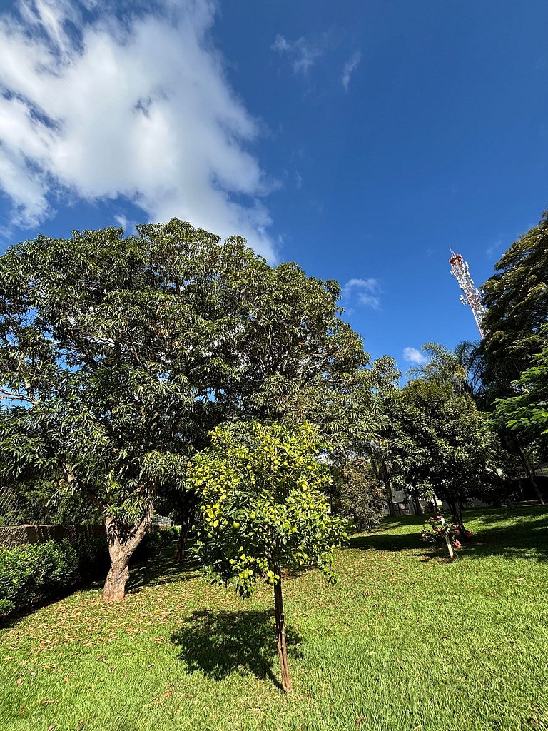 Casa de Campo em Itatiba: Doda Training e Greenhouse