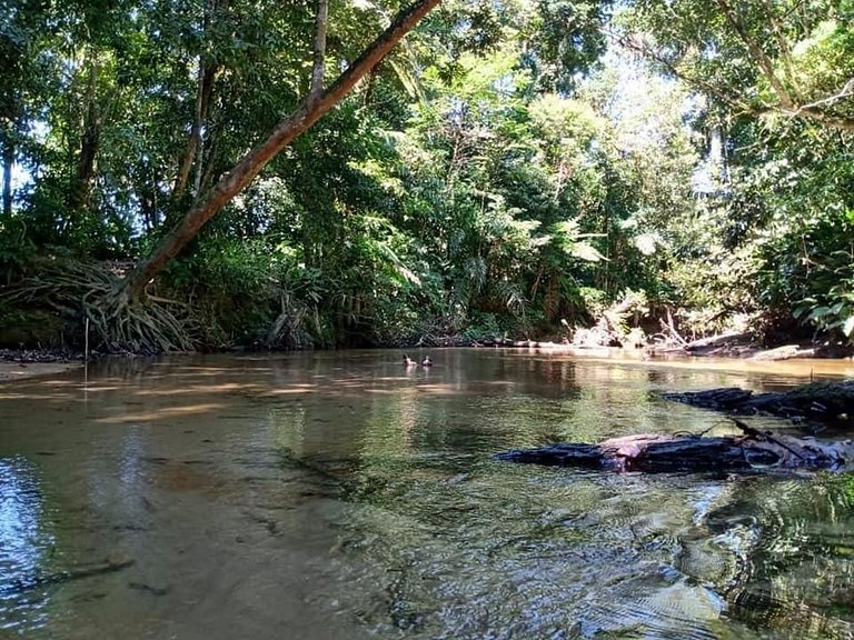 Sobrado Amplo no Morada da Praia